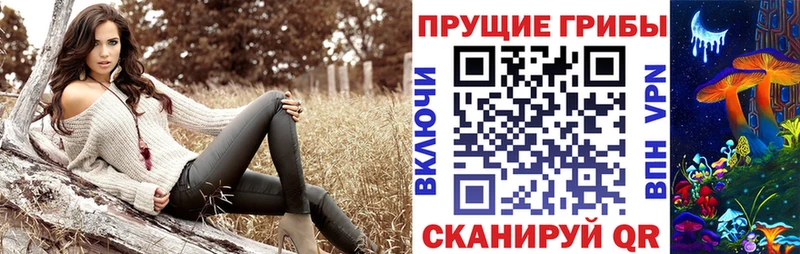 Псилоцибиновые грибы прущие грибы Ленинградская